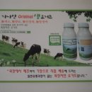 가나안목장 | 이벵후기)) 가나안목장 무항생제요거트:: 안김이맘님^^