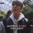 JP드림카 | 2020 젠런 3분기 모아보기