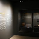 함안외암리공룡발자국 화석 이미지