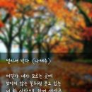 詩 ■ 나태주 - 멀리서 빈다 이미지