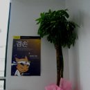 한라태권도 5관 이미지