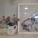 메이퍼플