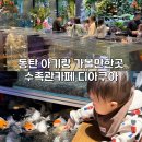 동탄 디아쿠아 아기랑 가기 좋은 물고기카페 수족관 방문 후기