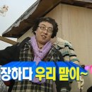 진갈매갈 이미지