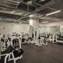 마이트짐 이미지