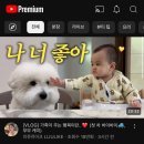 블로그 기다린다길래애
