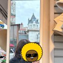 PLAY PUB | 여성 탈모에 좋은 영양제 추천 [비오틴이라고 무조건 다 좋은 건 절대 아니에요]