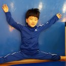 대산태권도 이미지