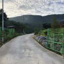 딸부잣집 펜션 이미지