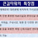 큰길 네이버블로그