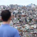 올라공인중개사사무소 이미지