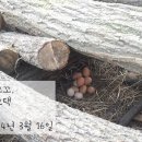 농부부이야기