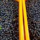 묵산농장 이미지