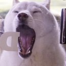 미스터멍 이미지