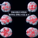 과학사랑 이미지