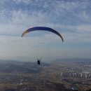 대천초등 이미지