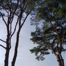 국회의원들의 인식과 당원들의 인식이 또 너무 다르다! 추미애 국회의장 안뽑은 악몽이 떠오른다! 이미지