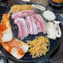 고기마루 이미지