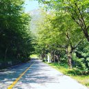 대항마마펜션 이미지