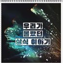 500돈 | 현대로템㈜ 자소서 대필 인천 ??? 500돈 순금목걸이 함께 준비해봐요