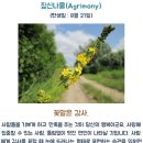 엘슈퍼비젼 | 4月 ♡