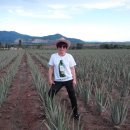 동방농장 이미지