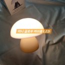 미니 글로우 머쉬룸 LED 램프 단스탠드 조명 내돈내산 후기