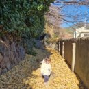 조정래벽화마을 이미지