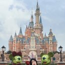 국수나무합성점 | [상하이 여행일기 3일차 ①] 디즈니랜드 (고덕지도, 꿀팁)