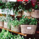 부평우일 이미지