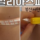 달리아스파부산 네이버블로그