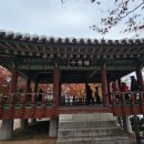 종로-종로-종로-종-239 | 서울 궁산 - 겸재의 문인향(文人香)과 호수 같은 한강