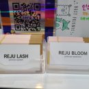 리쥬블룸 이미지
