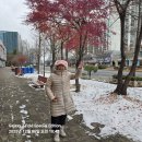 산행 5,000회를 향해. 2025년 12월 6일(토) 4.503회 산행. 이미지