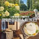 [서울 영등포] 서울 피크닉 장미명소 양화 한강공원, 선유도 수플레맛집 한옥카페 피크니크