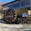 돼지오락실 이미지