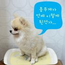 경희나린한의원 이미지