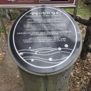 제주 산방산 암벽식물지대 | 제주 서귀포 중문여행지추천 산방산 산방굴사 소요시간 입장료 주차