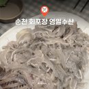 순천 아랫장-회센터 | 순천 회포장 추천 영일수산 봄도다리 포장 매운탕 지리 황금 레시피까지