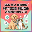 Wellness clinic 동물병원 | 광주 북구 동물병원 예약 방법과 예방접종 건강검진 바로가기