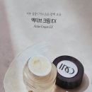 인셀덤분당