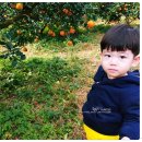 홍지농장 이미지