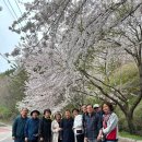 광산구 선배시민 자원봉사단 4월 월례회의