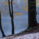 고려수지침 복현지회 이미지