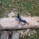 도구로 120-10 이미지