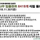 소나무치과의원 이미지
