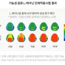 녹차 효능 주목할 성분은? 이미지