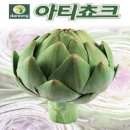 H0015 이미지