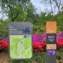 (주)반여초교 진입로(13) | 5월 17일(토) 서울 둘레길 17코스. 북한산·은평 코스 걷기. 구파발역 -&gt; 불광역. 산책. 운동