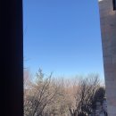 시든물해변 네이버블로그